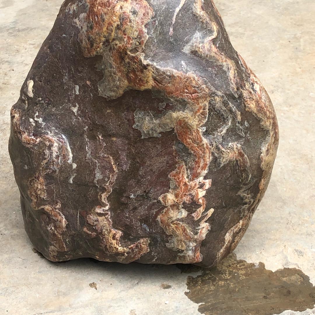 小黄哥