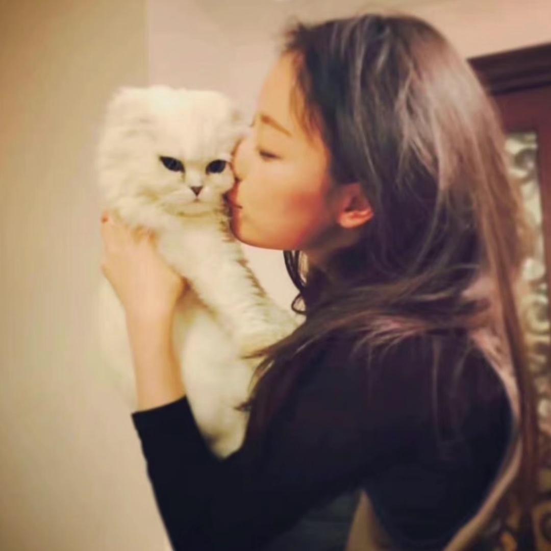 圆圆.