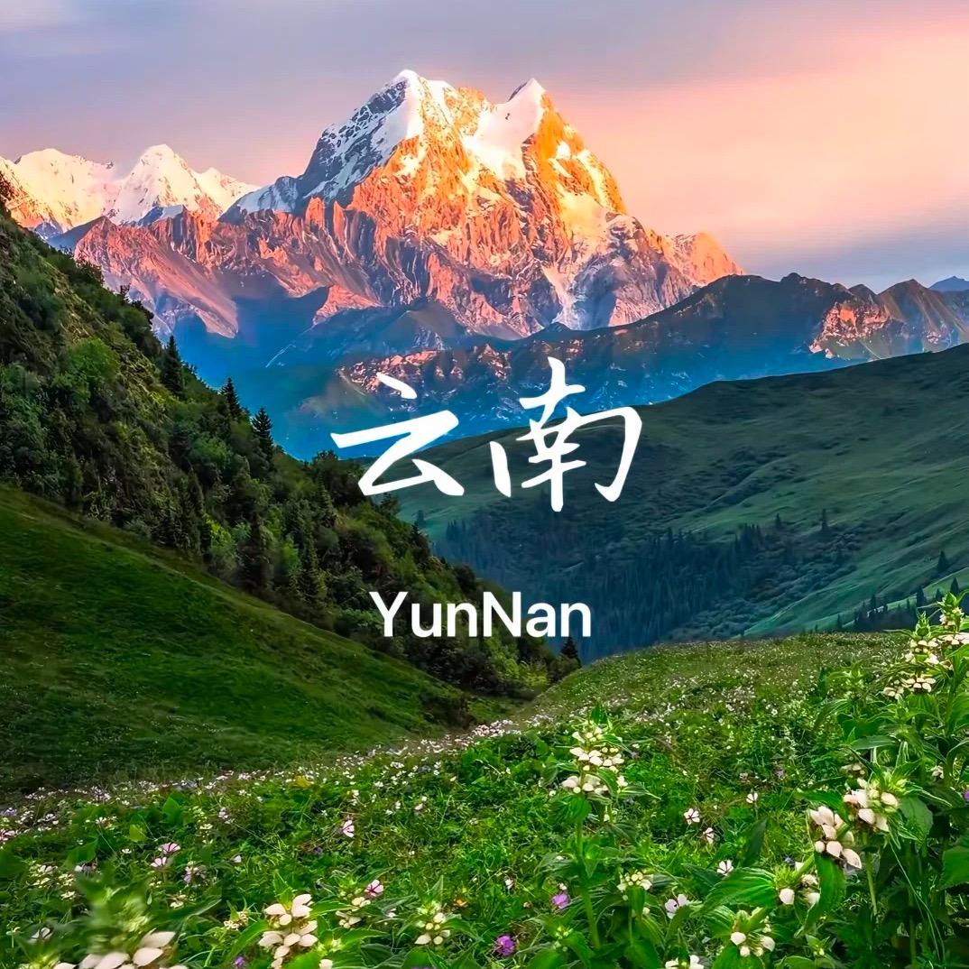 云南旅游（纯玩专场）