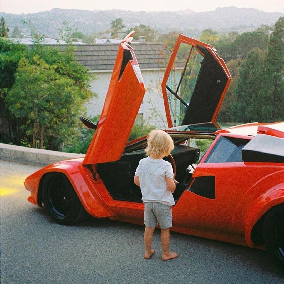 小熊撩车