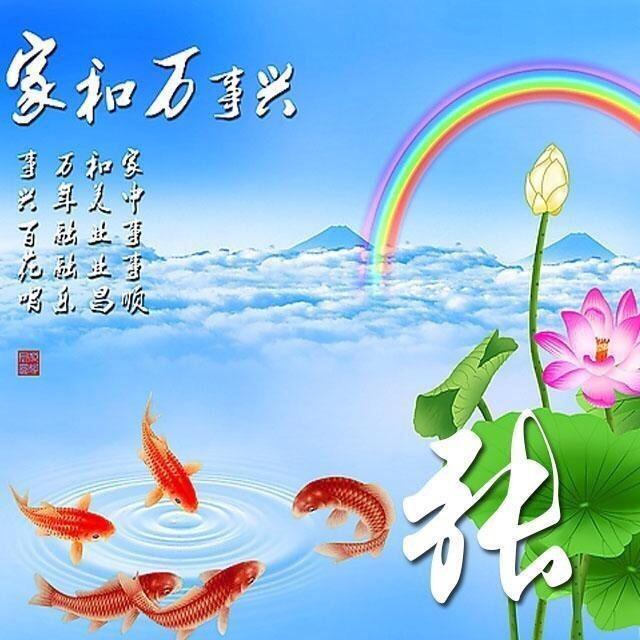 风林林