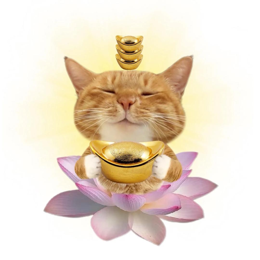 猫凹