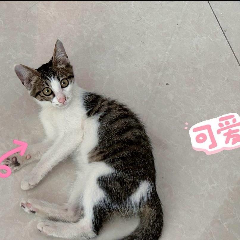 辅导员小赵一枚