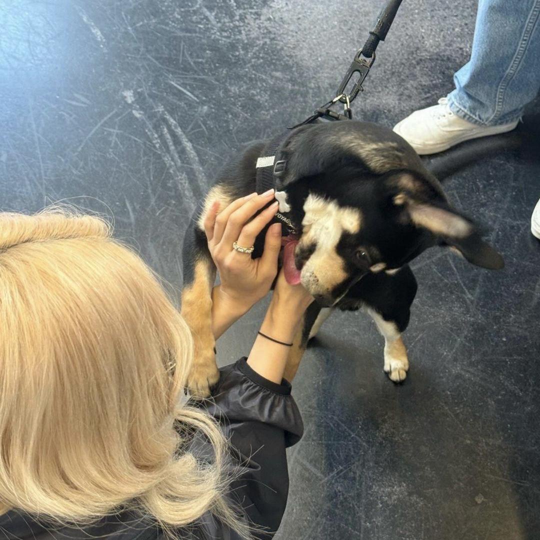 什么时候三月份_