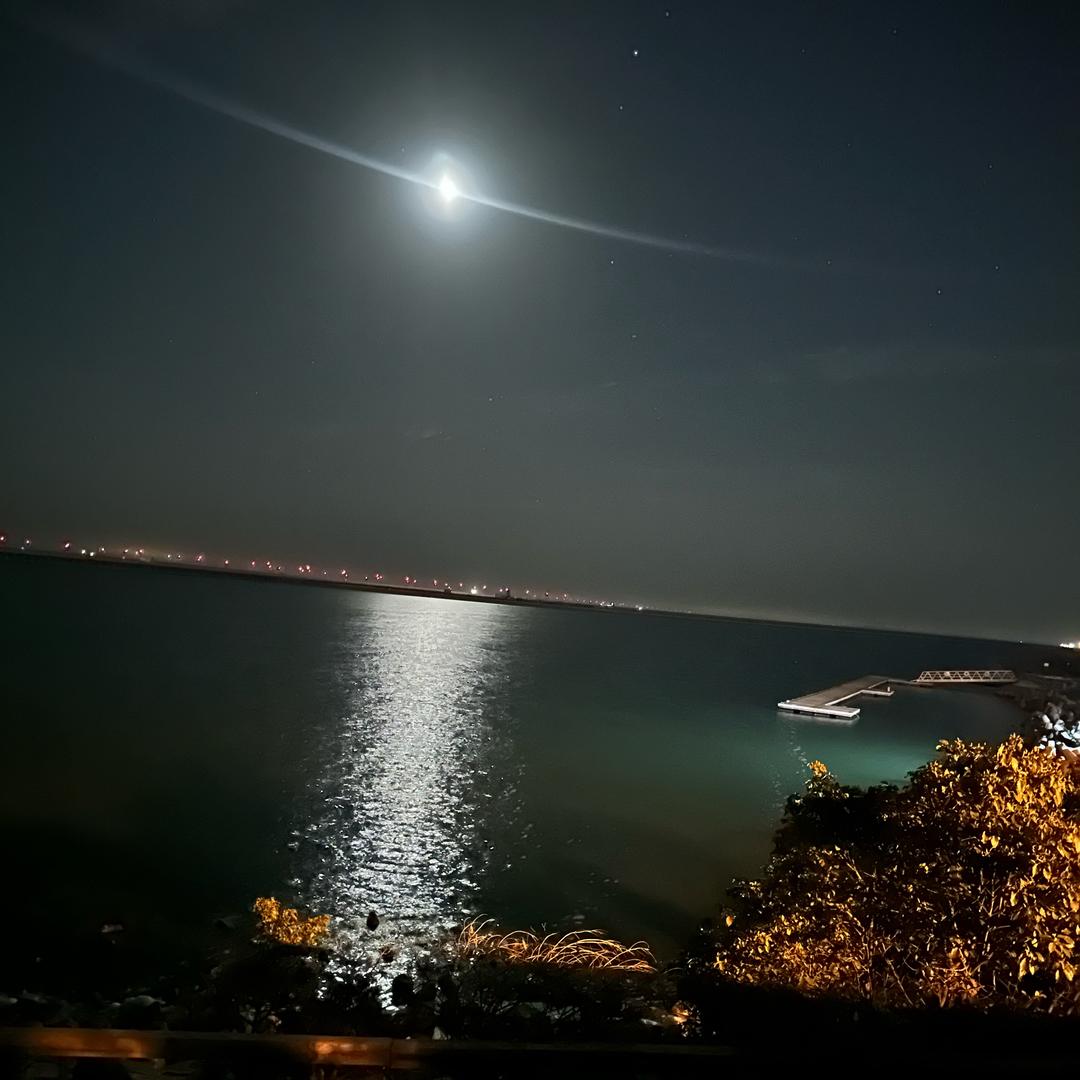 踽踽独行玖零后