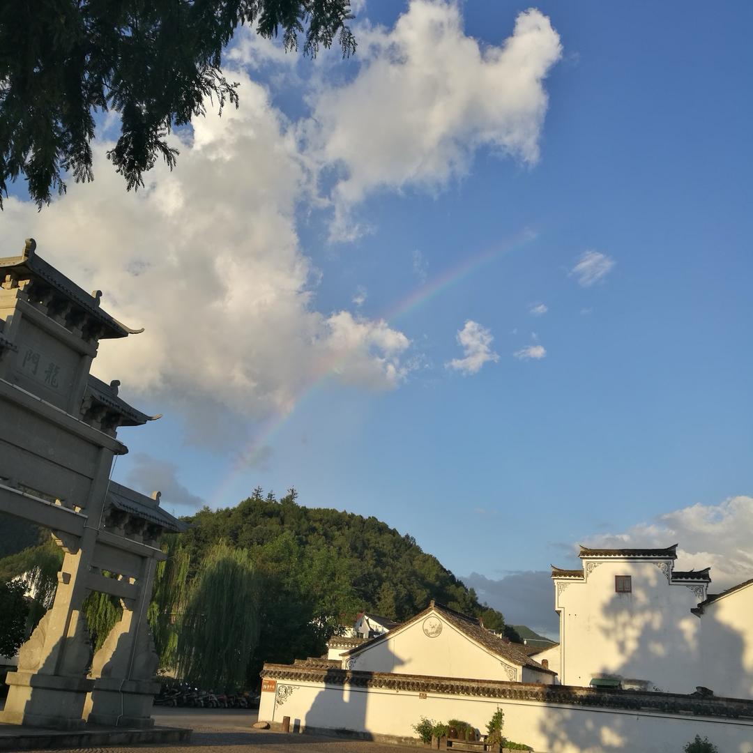 鲫溜狗子