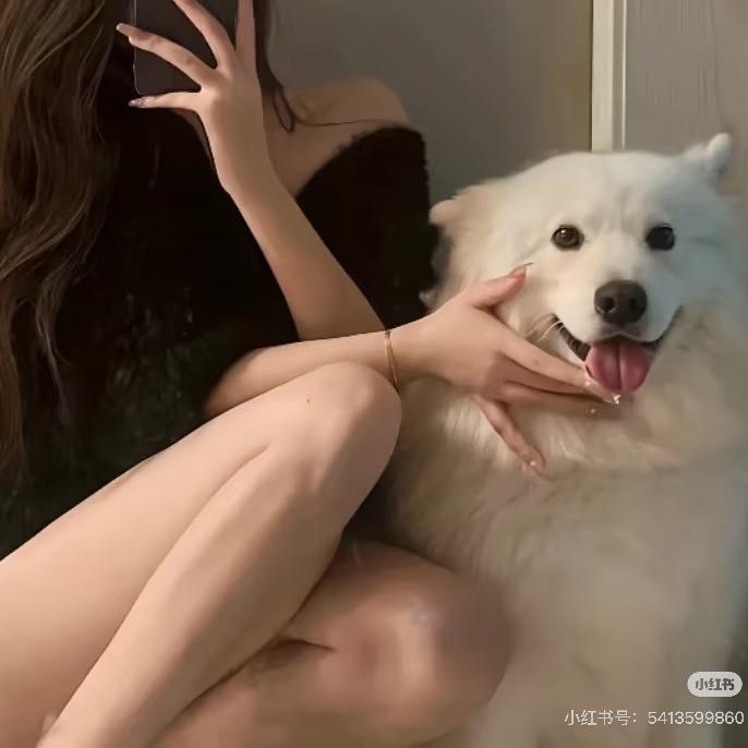 游炸小丸子🍡