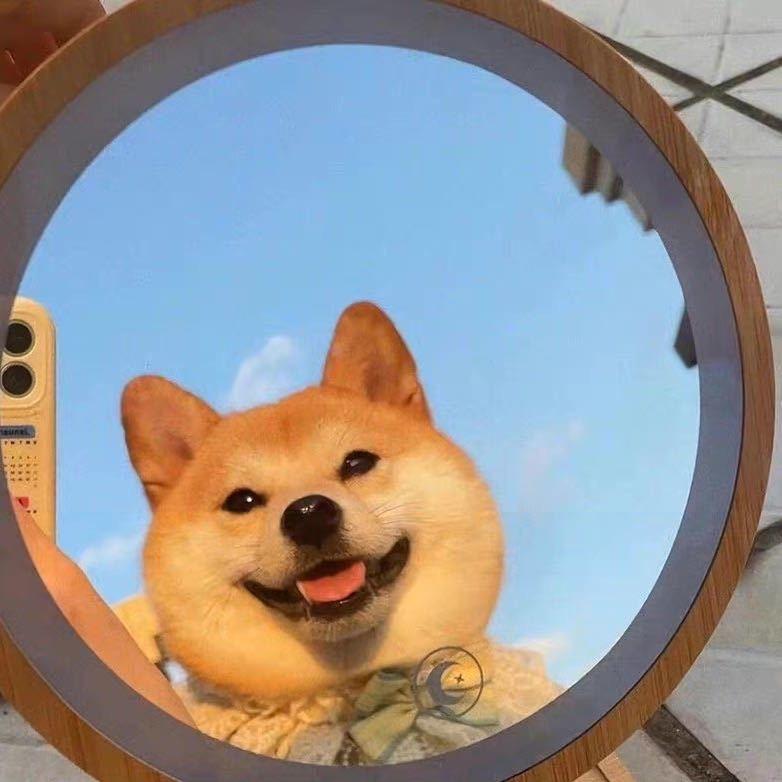 C了个qq