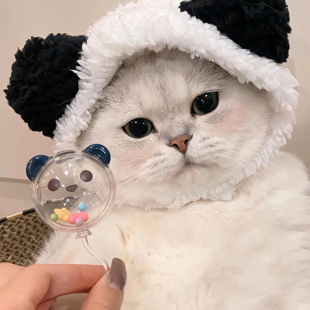 三米阳光蛋堡壳壳