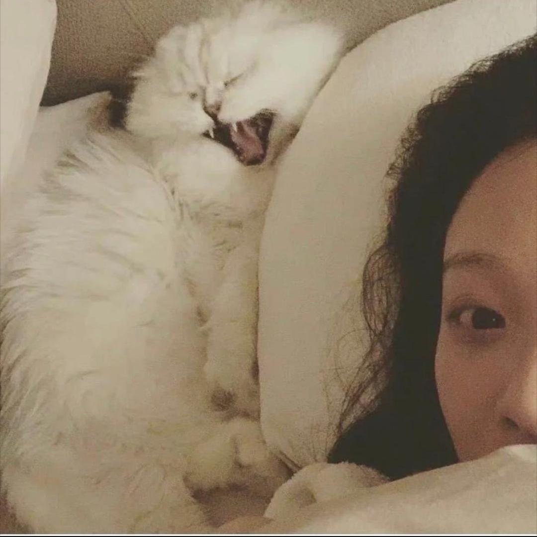 Wuan_oi^