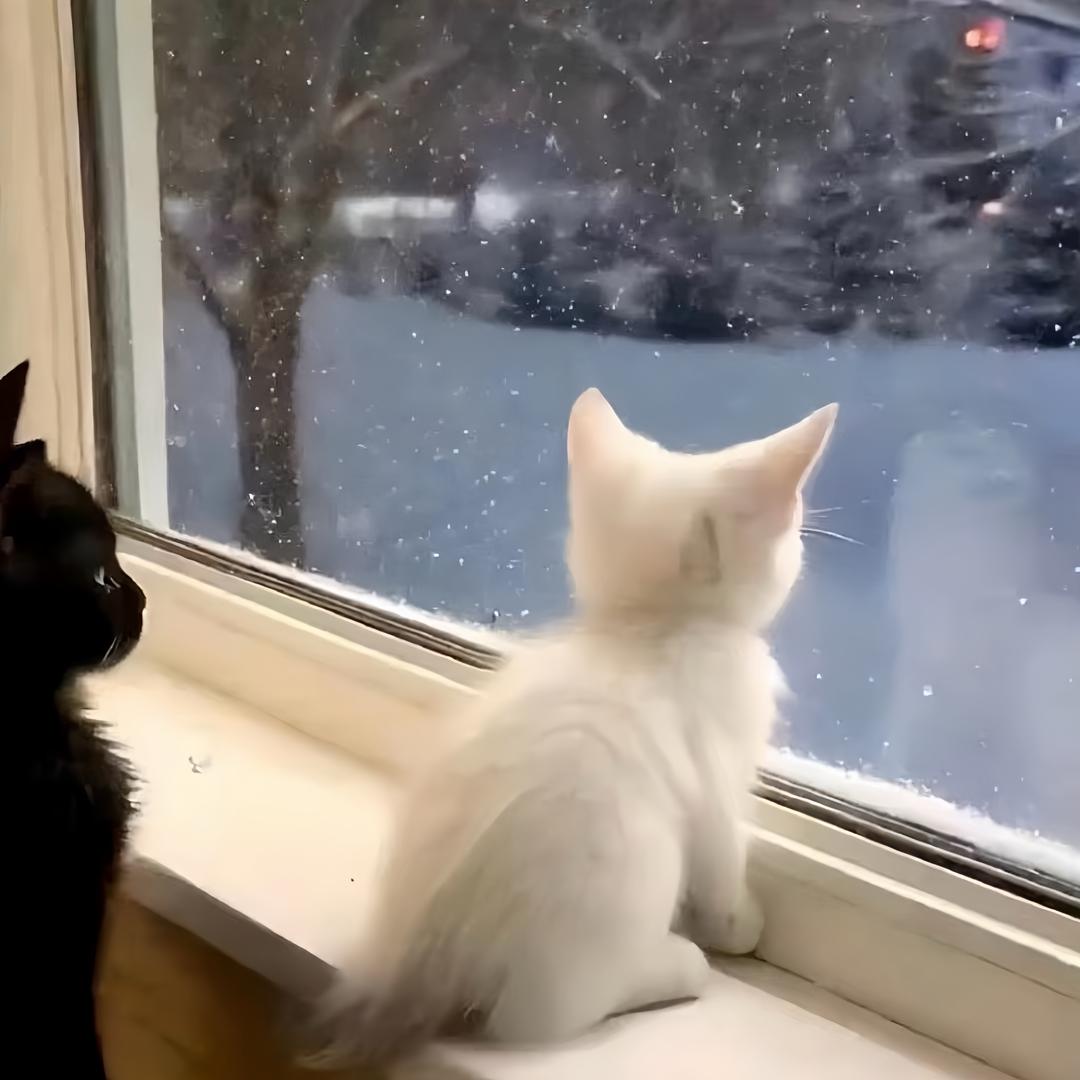 还差点成熟的女子！