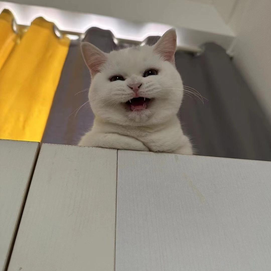 揪也先生