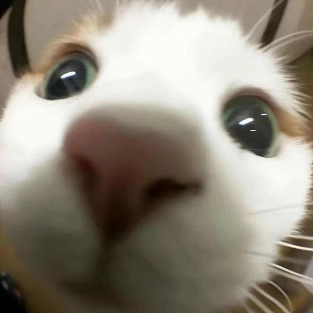 ^病娇萌友