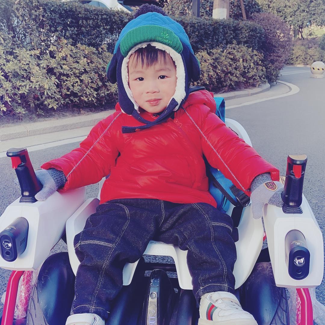 ╃木頭人♂