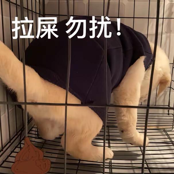 向日葵🌻🌻🌻and  刘多多~
