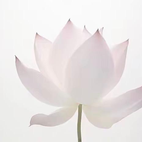 千瑶姑姑送好字