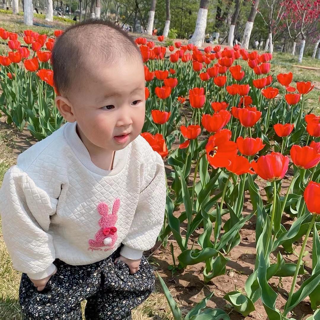 向日葵 🌻林夏