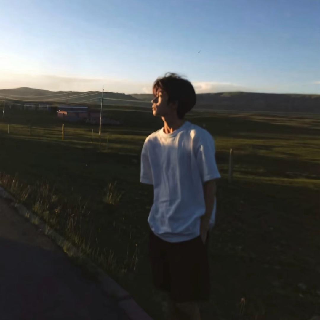 任鸟飞