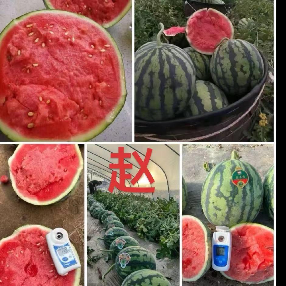 赵爱兰西瓜🍉🍑桃代收代发团队（2）