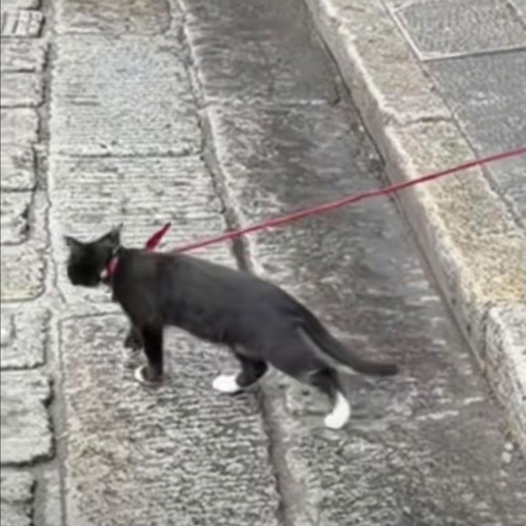 咚咚咚