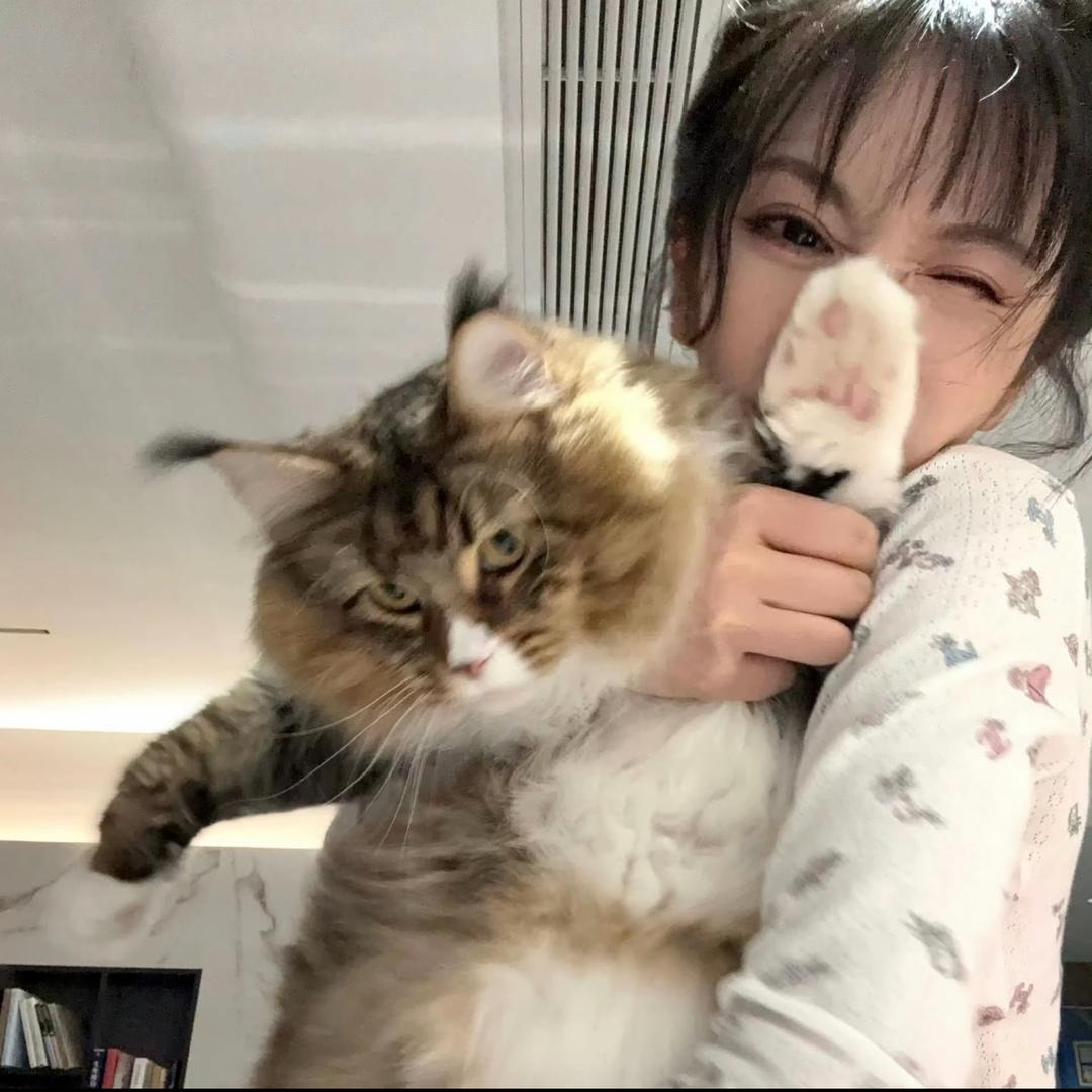 悸圻