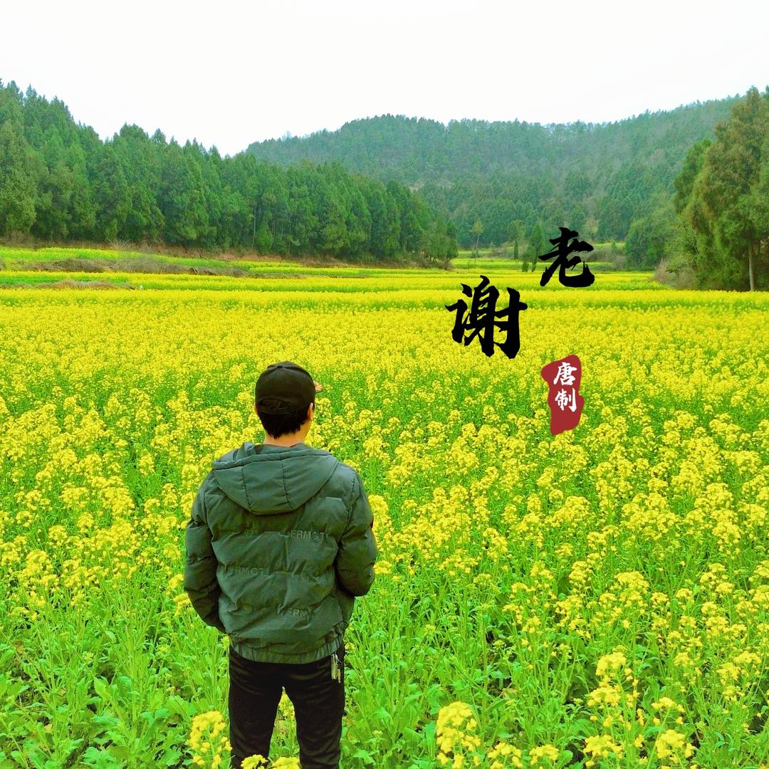 石安老谢（乡村日记）