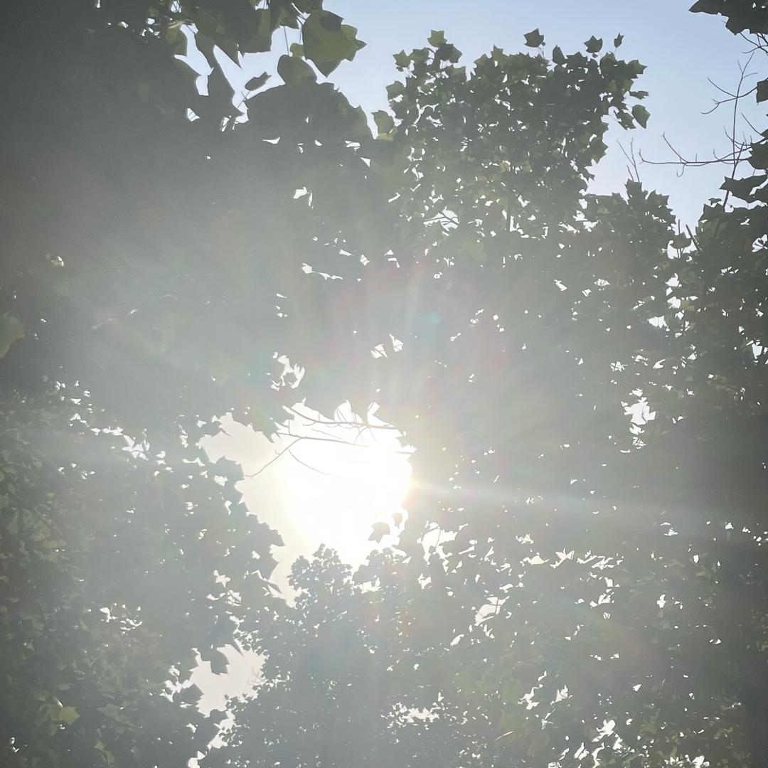 花样年华