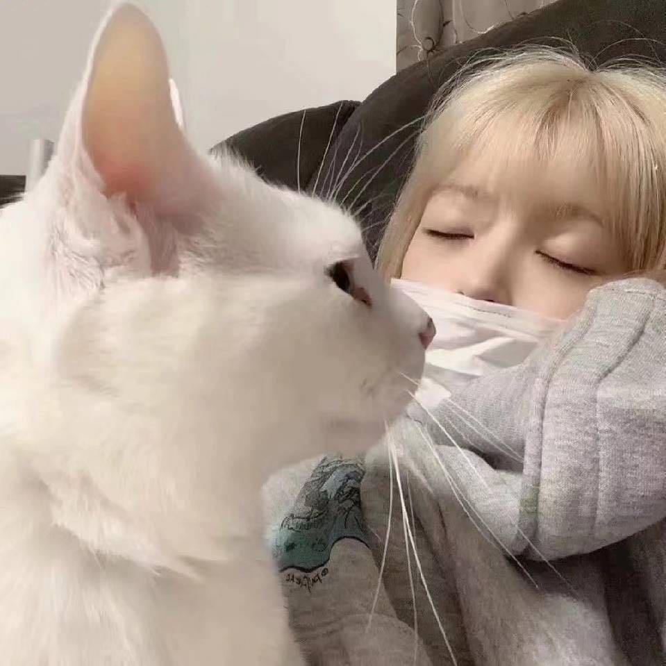 迪迪滴滴滴