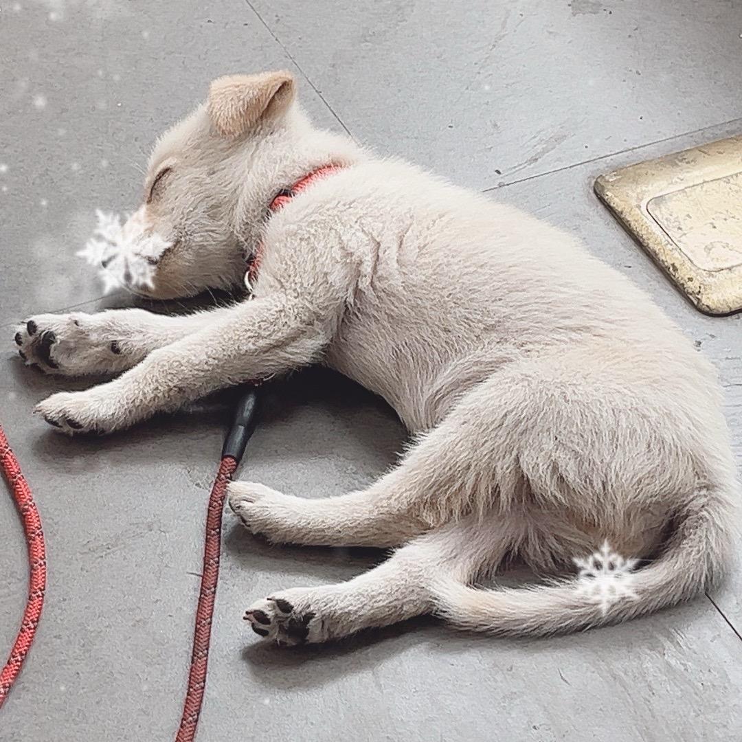 我命由我不由天