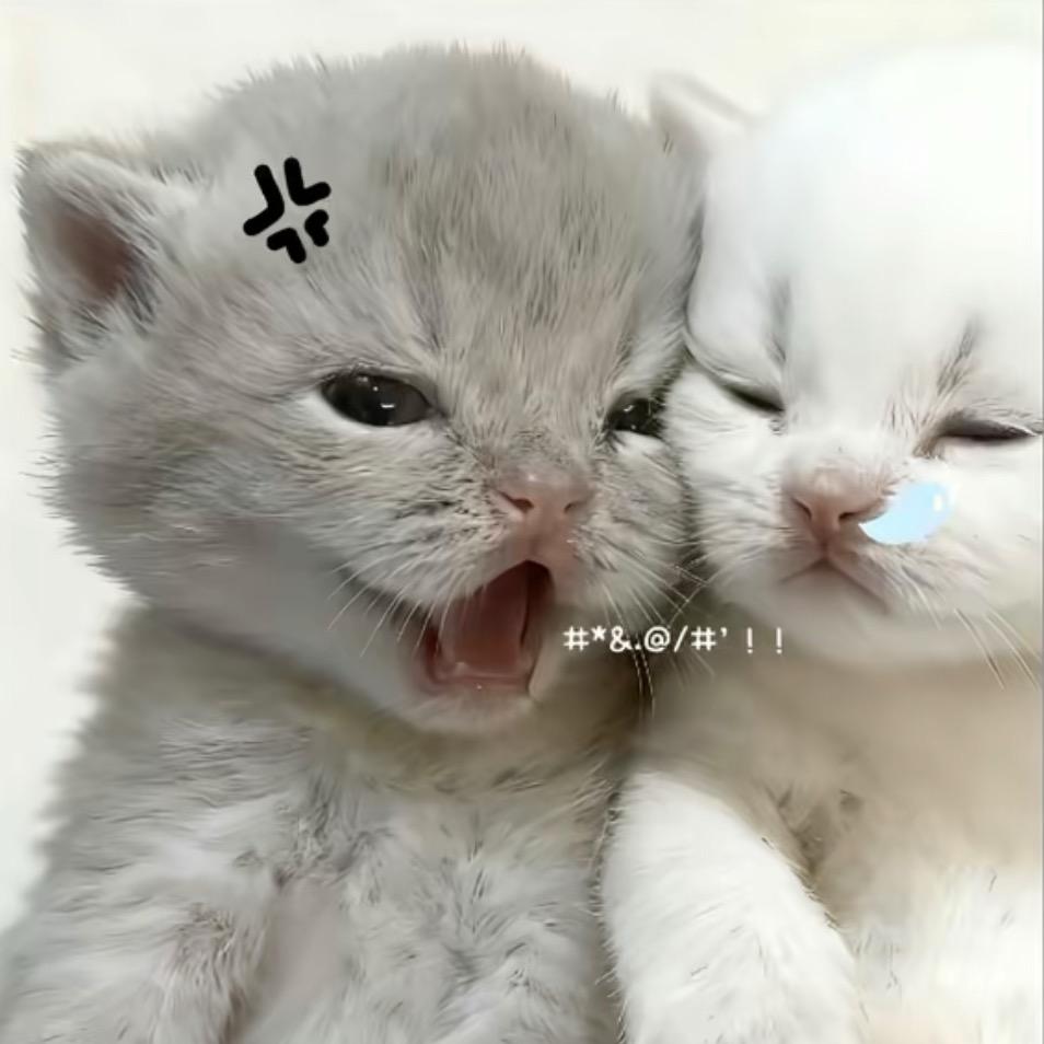 伊