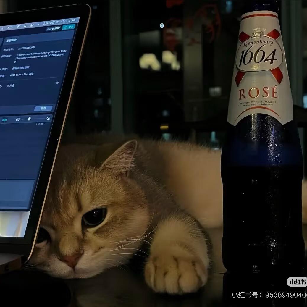 看一千次海ᯅ𝙞𝙞