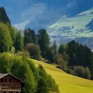 东莞市姚骏酒店管理有限公司运营部