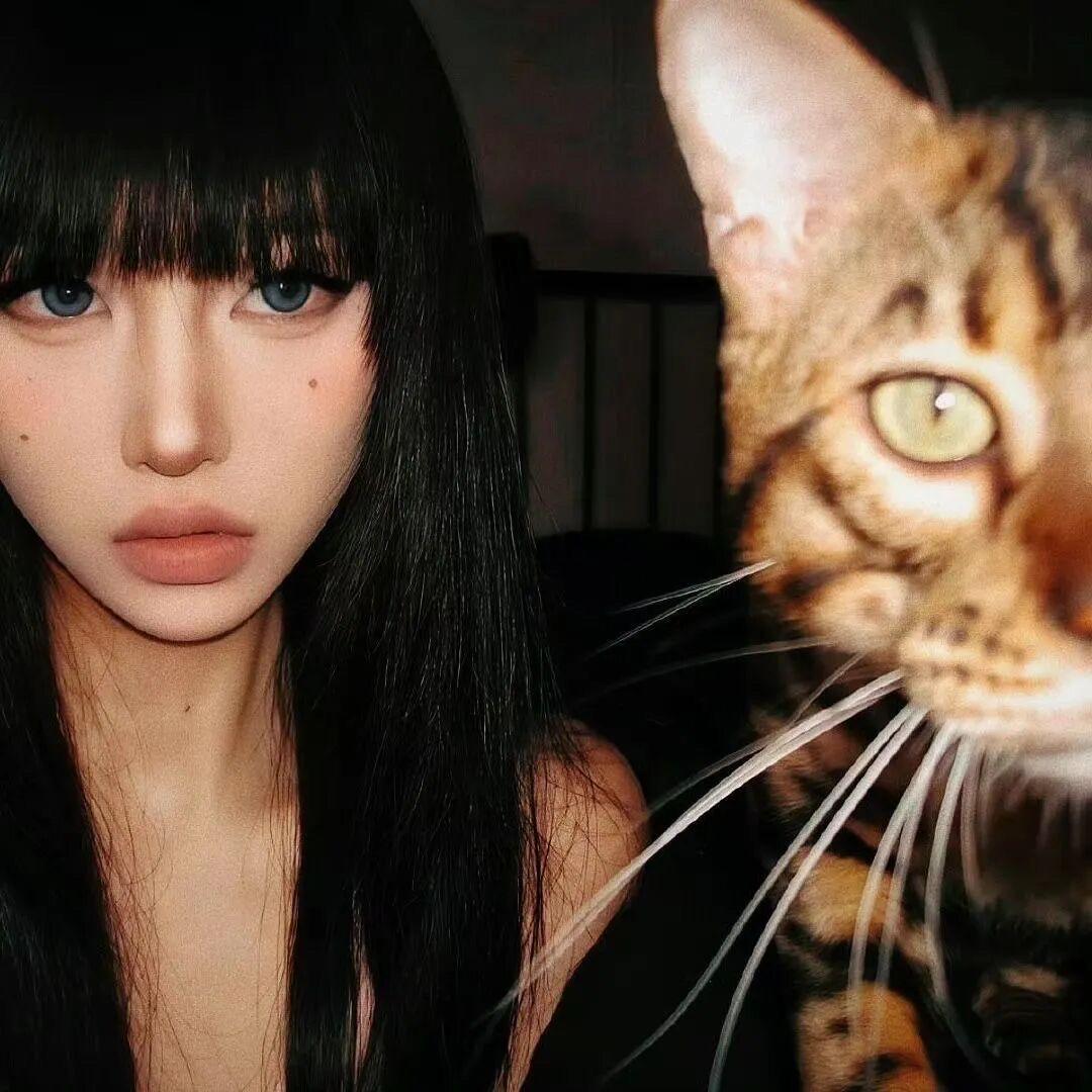 小洋小洋天天放羊