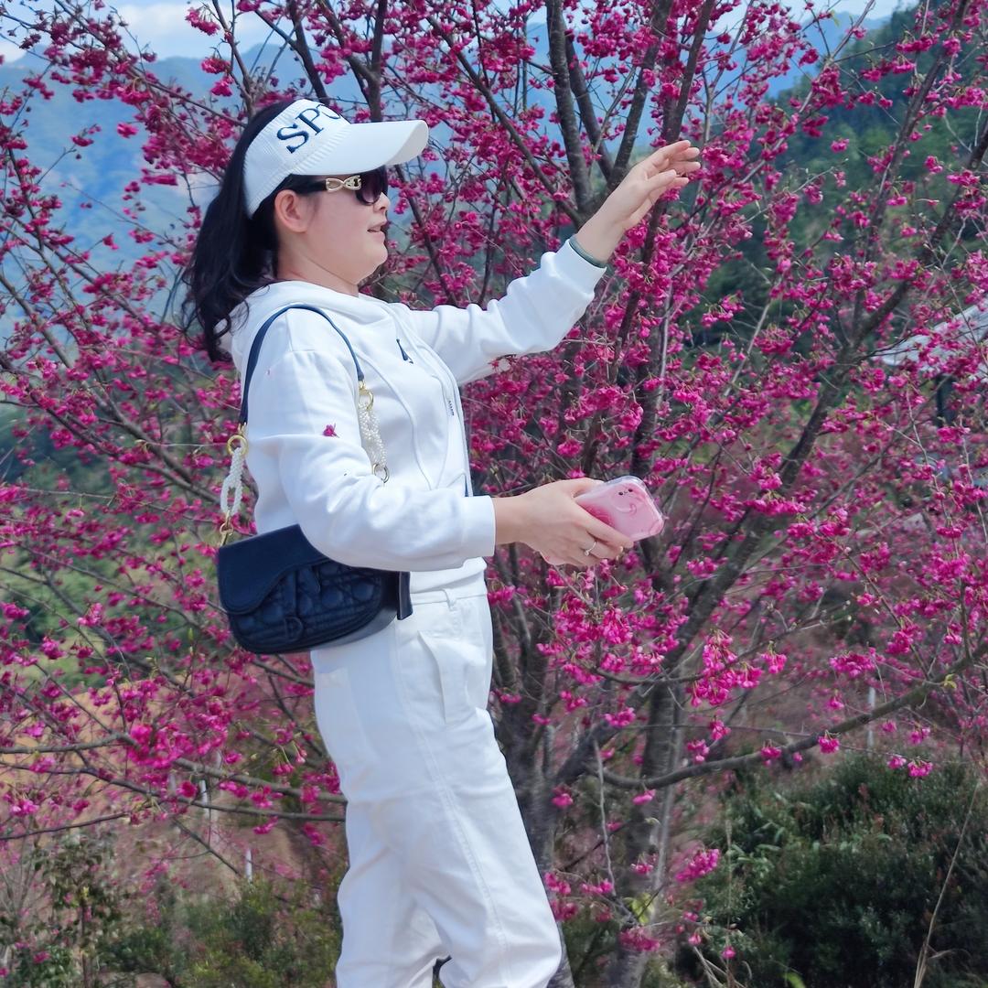 欣梦窗帘（厂家直销）