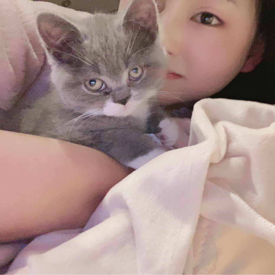 雷清