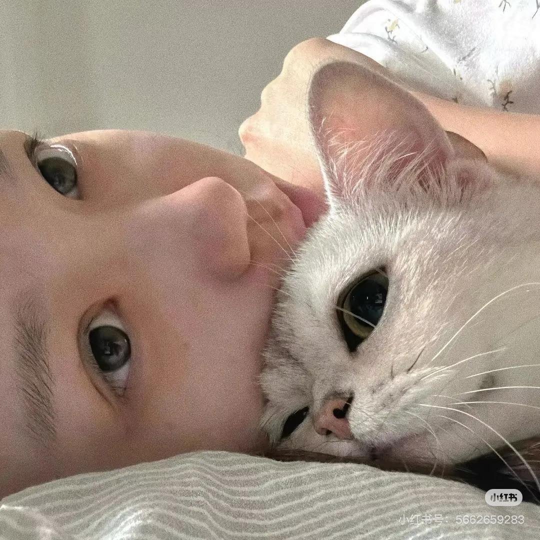 Bobo