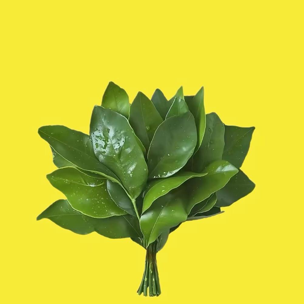 媛三岁。