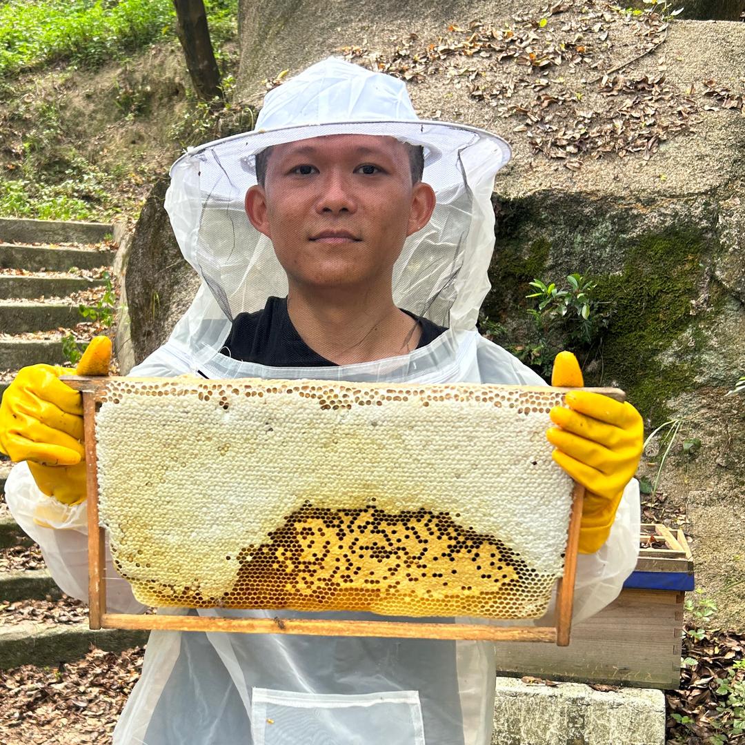真过瘾养蜂课堂