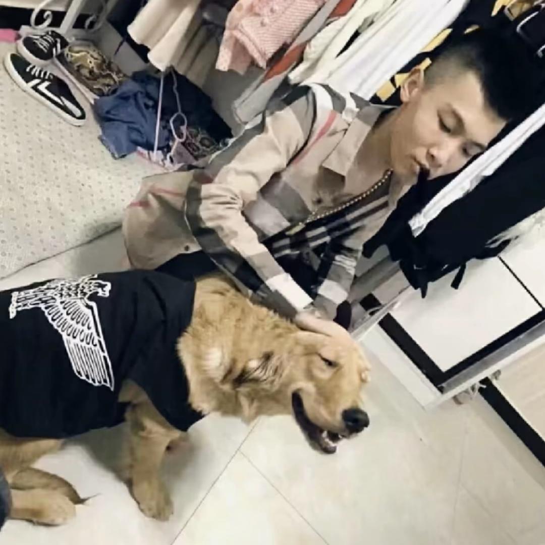 优乐美