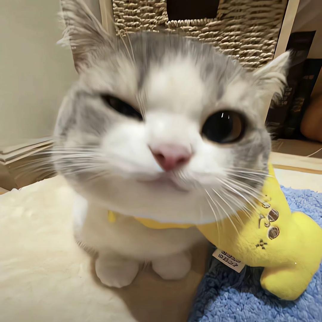 张起灵