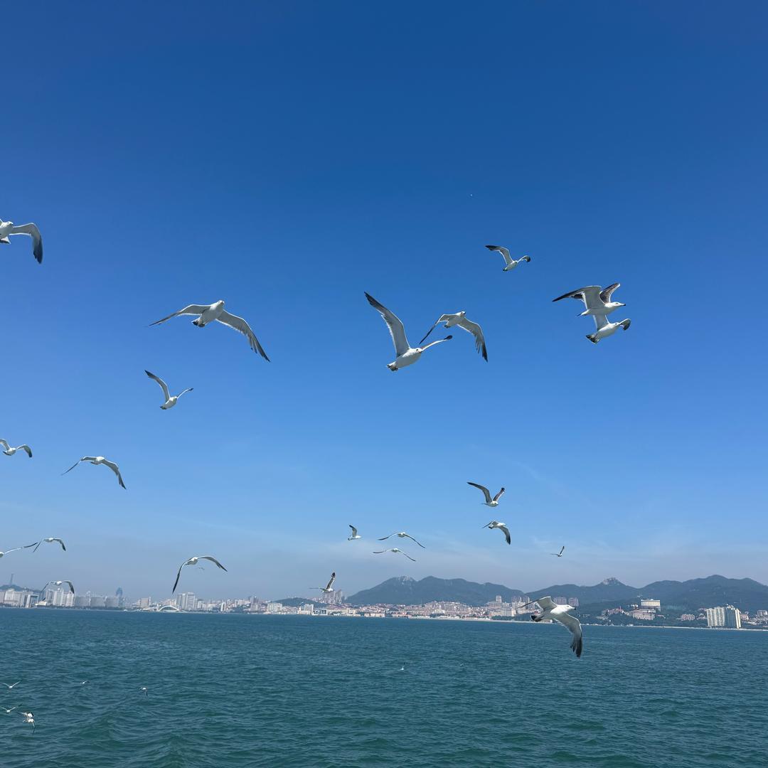 栀