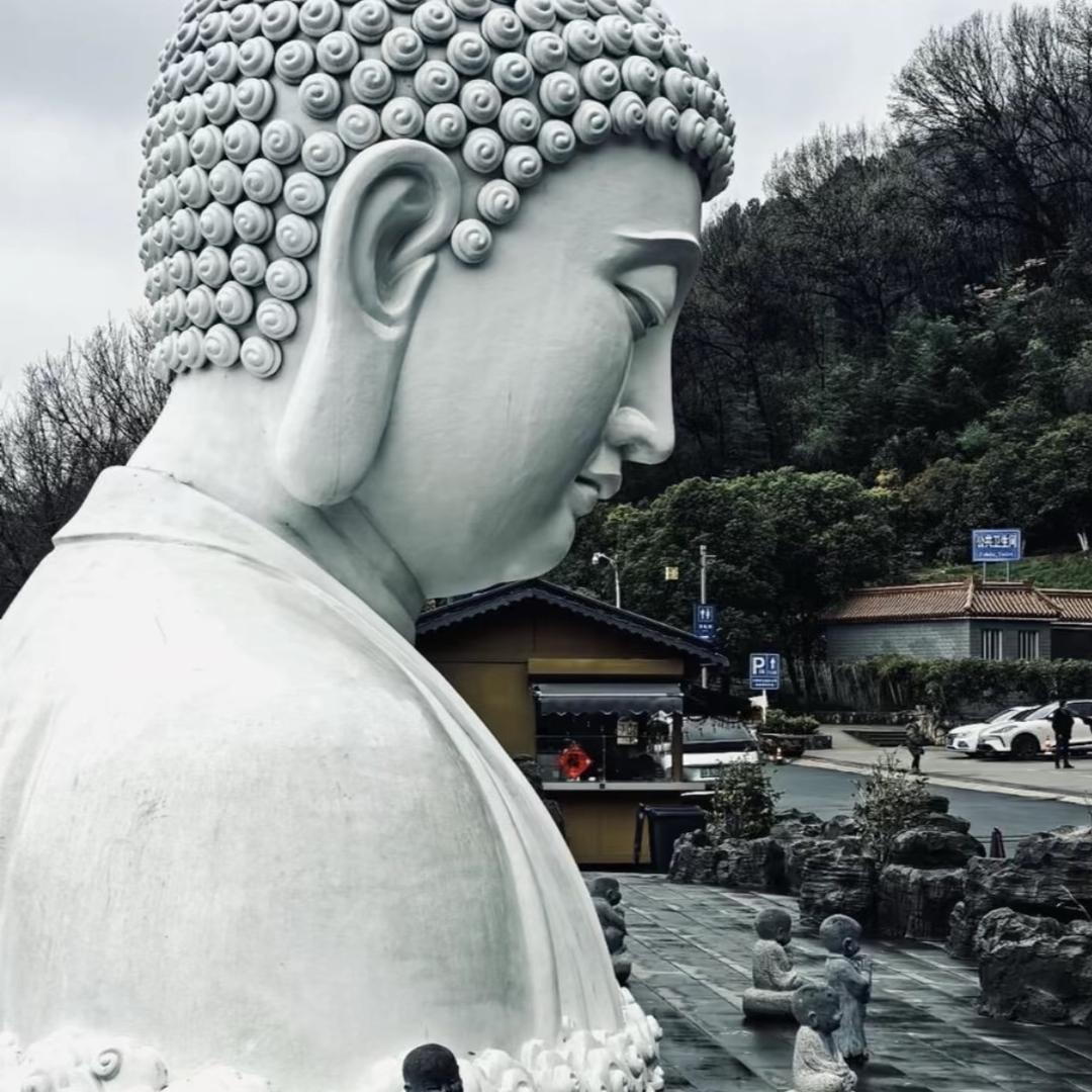 刘二