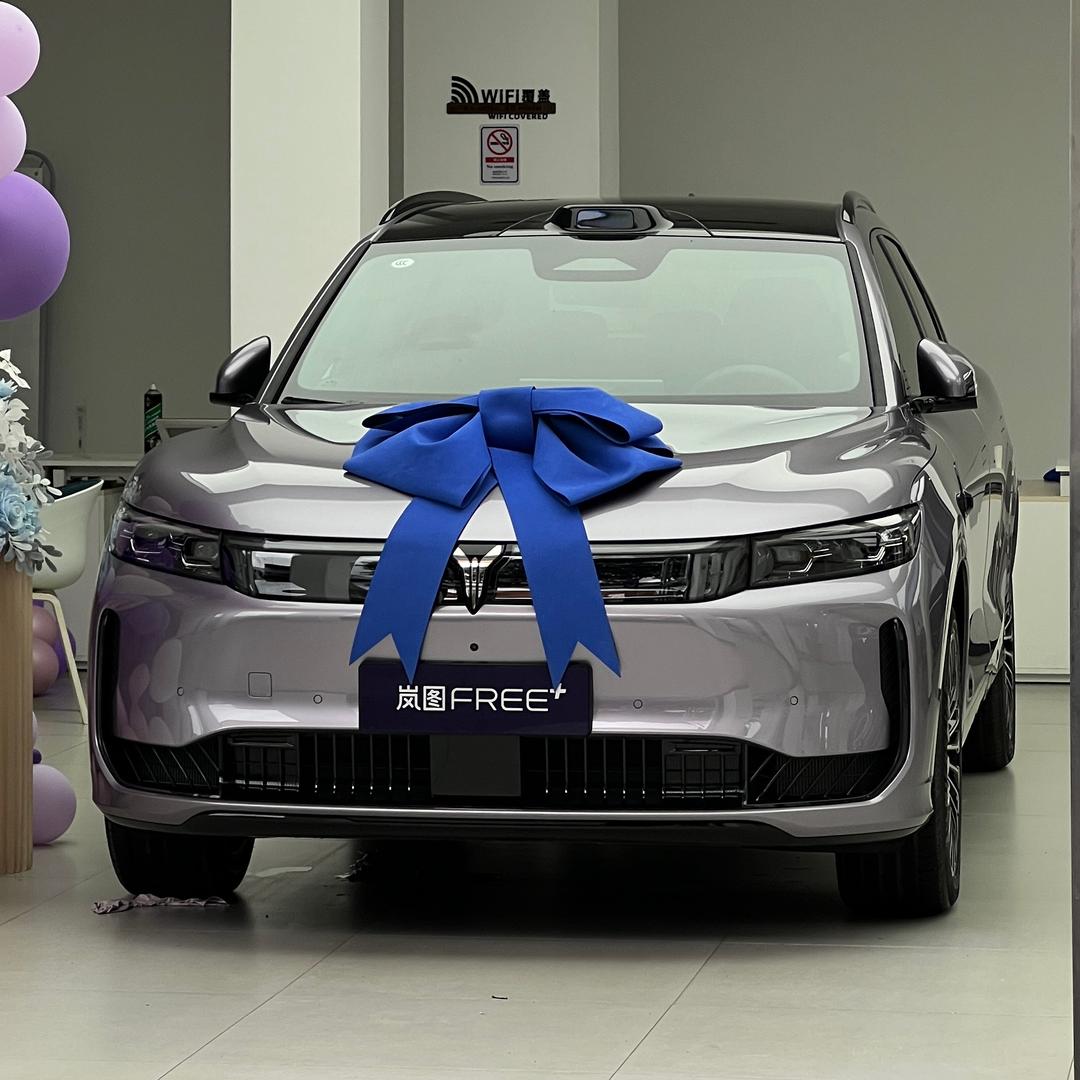 阿帆的岚图专改店