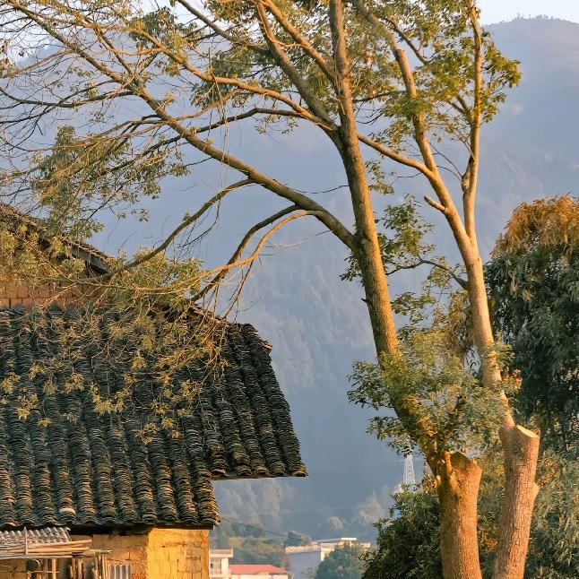 滇缅好山货哦