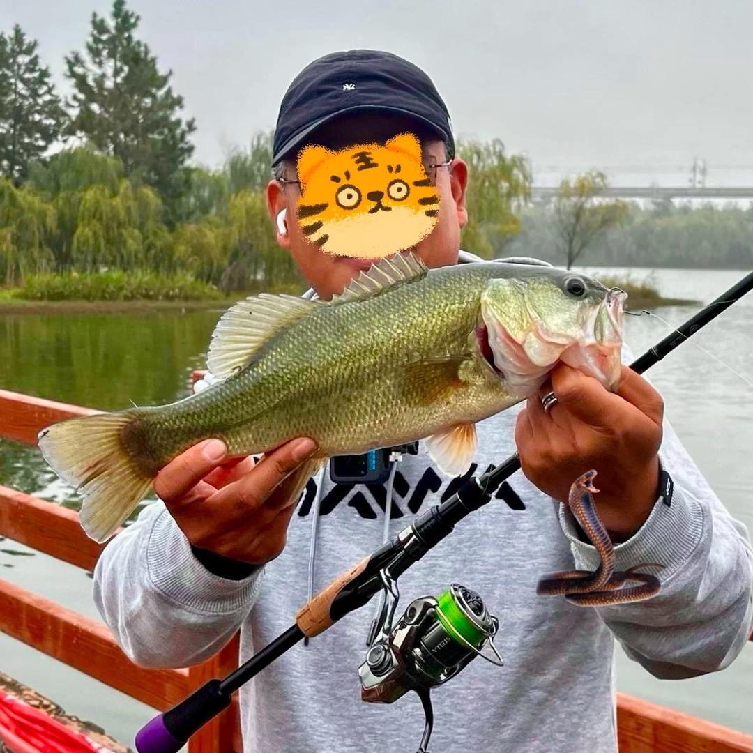 王多漁🎣🎣