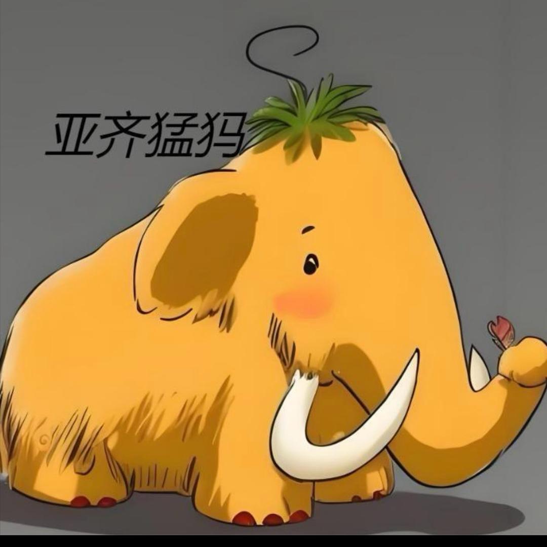 亚齐猛犸文玩