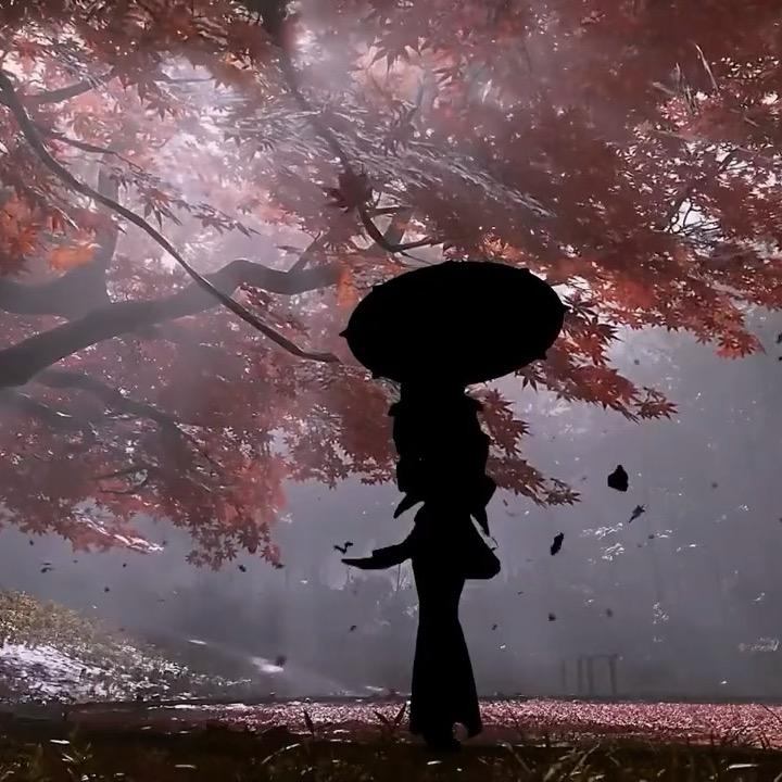 流色（取图主页）