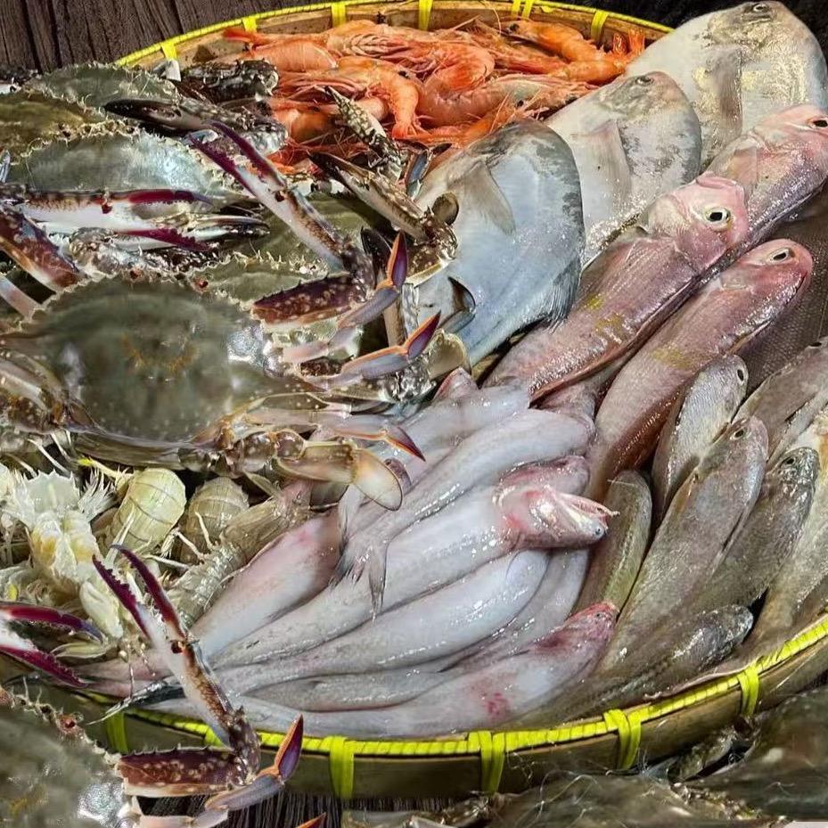 大头小鱼海产品