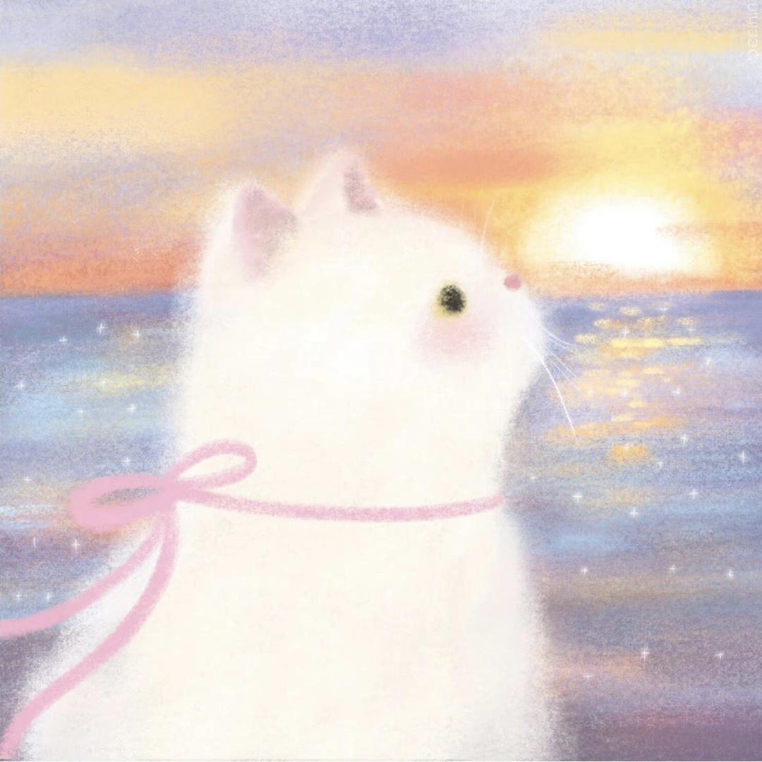 许愿小猫头像