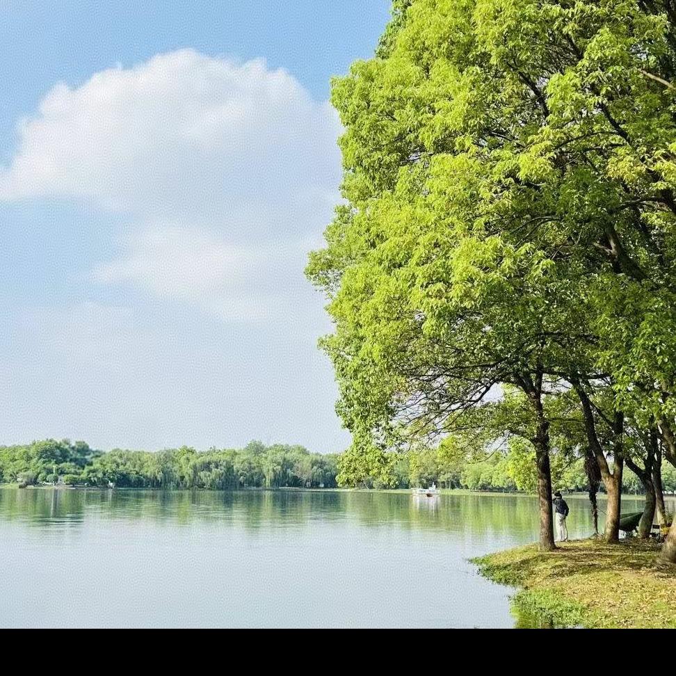 李☘️先🍀生🌿